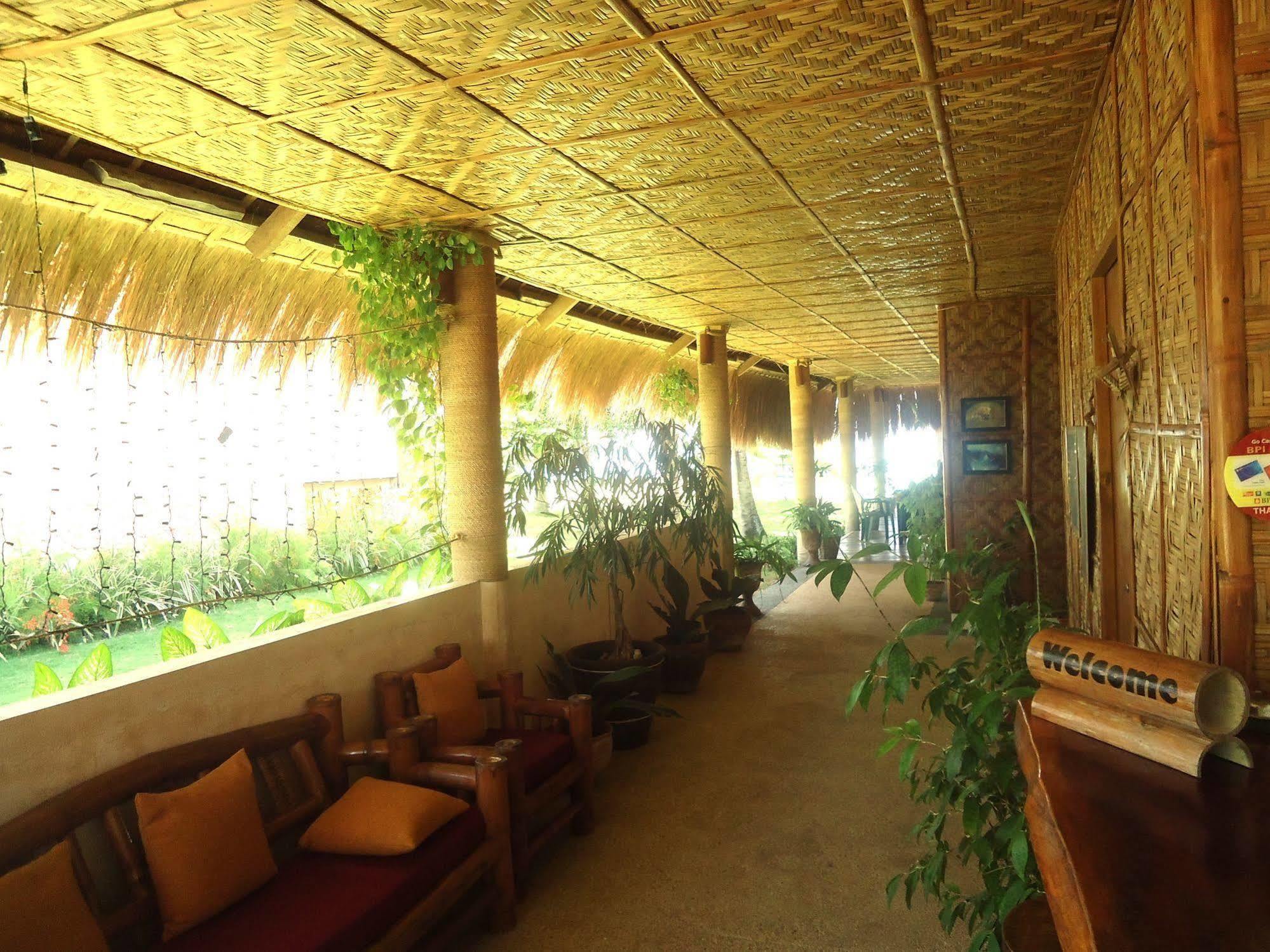 Dacozy Beach Resort Moalboal Exteriér fotografie